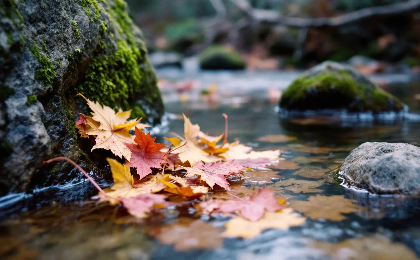 What fallen leaves do in a creek: inside the leaf-pack food web